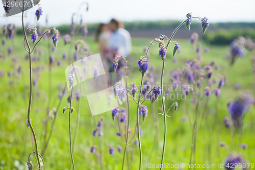 Image of Just married loving couple in wedding dress on green field in a forest at summer