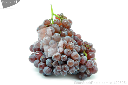 Image of Gourmet champagne grapes