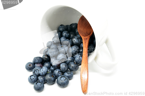 Image of Tasty blueberries isolated