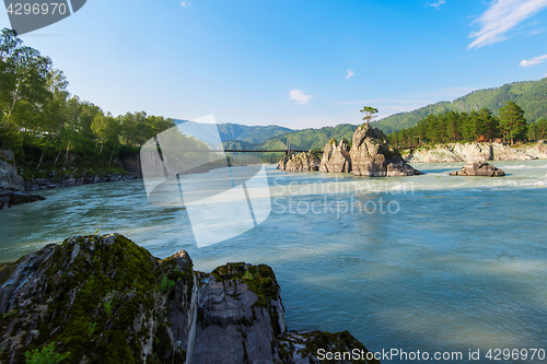 Image of Fast mountain river Katun