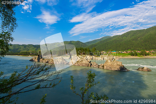 Image of Fast mountain river Katun