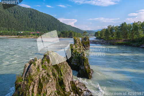 Image of Fast mountain river Katun