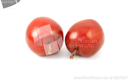 Image of Two ripe red plums with stalks