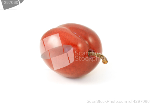 Image of One ripe red plum with stalk