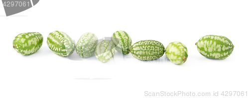 Image of Row of eight cucamelons