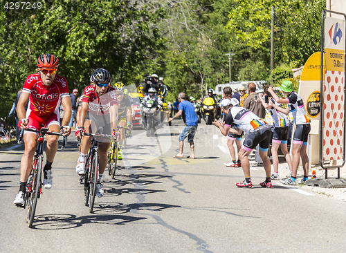 Image of The Cyclist Thomas De Gendt on Mont Ventoux - Tour de France 201