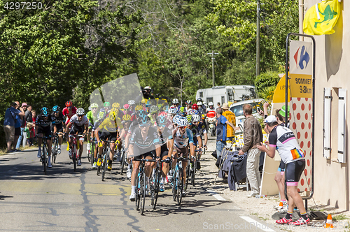 Image of The Peloton on Mont Ventoux - Tour de France 2016