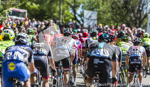 Image of The Peloton on Mont Ventoux - Tour de France 2016