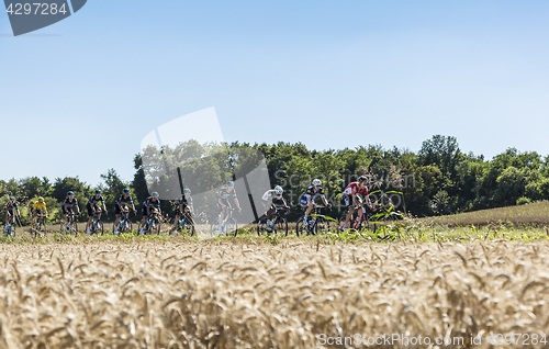 Image of The Peloton in the Plain - Tour de France 2016