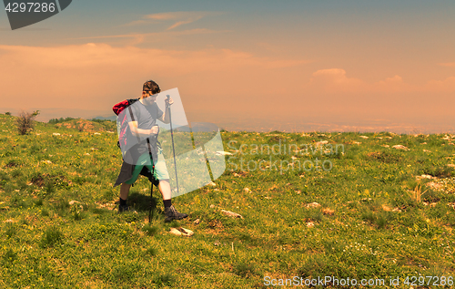 Image of Man Hiking in Green Mountains