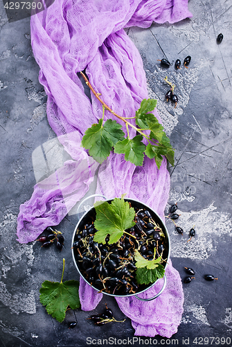 Image of black currant