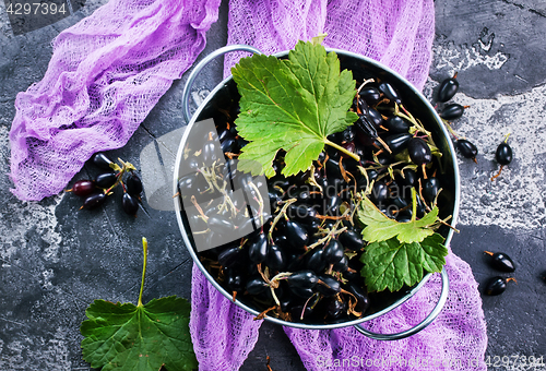 Image of black currant