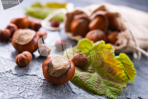 Image of hazelnuts