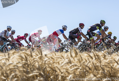 Image of The Peloton in the Plain - Tour de France 2016