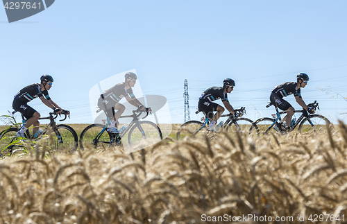 Image of Team Sky in the Plain - Tour de France 2016