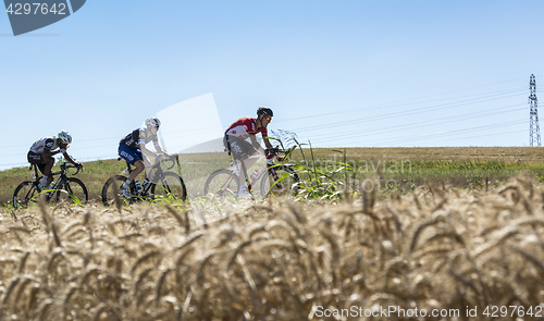 Image of Three Cyclists in the Plain - Tour de France 2016