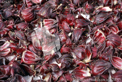 Image of Red petals