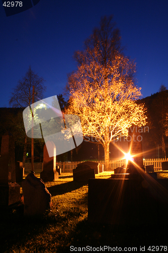 Image of Graveyard