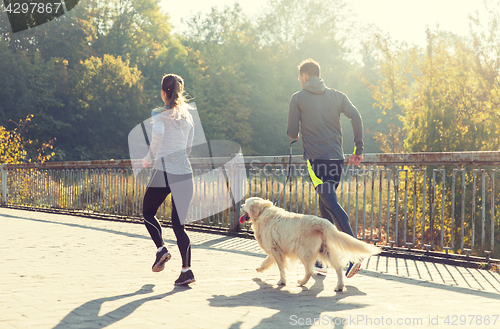 Image of close up of couple with dog running outdoors