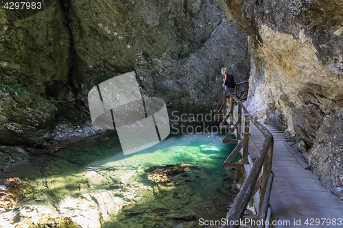 Image of Woman hiking in Vintgar gorge in Slovenia near lake Bled.