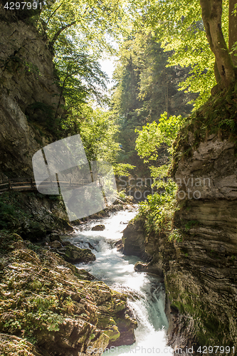 Image of The fabulous Vintgar Gorge in Slovenia near lake Bled