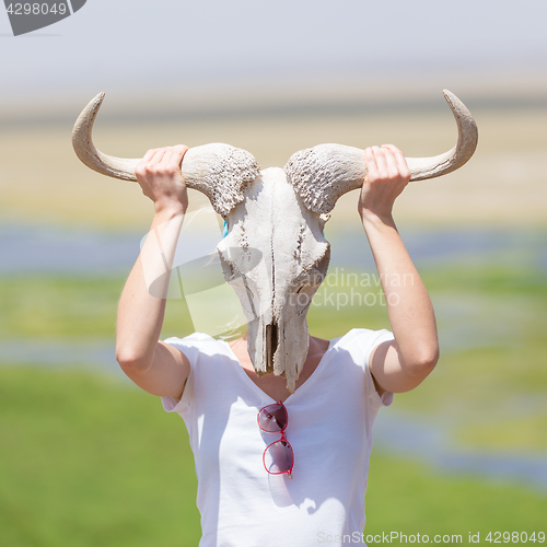 Image of Woman holding a white wildebeest skull wearing it like a mask in nature on african wildlife safari.