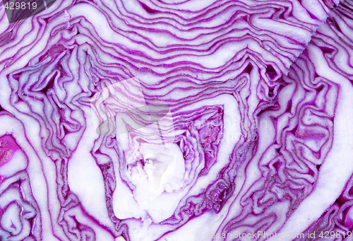 Image of Cabbage Texture