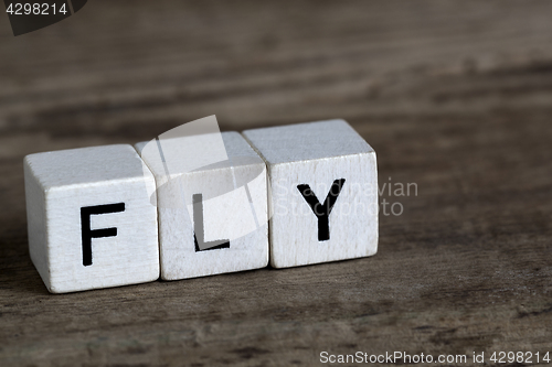 Image of Fly, written in cubes    