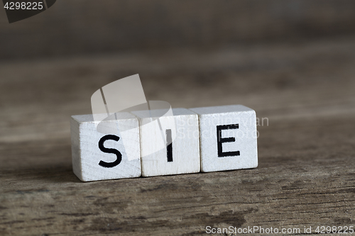 Image of German word she, written in cubes    