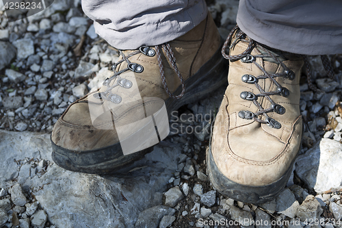 Image of Brown hiking shoes