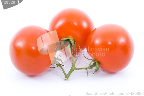 Image of Tomatoes