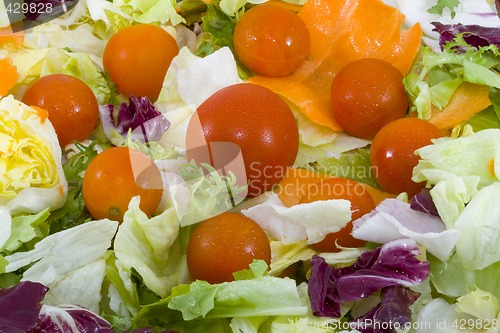Image of Vegetable Salad