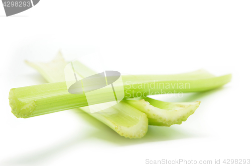 Image of Fresh green celery