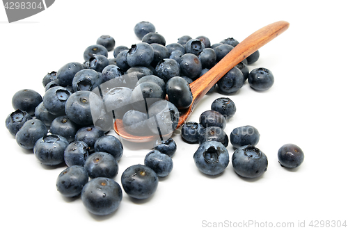 Image of Tasty blueberries isolated