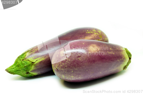 Image of Fresh vegetable eggplant