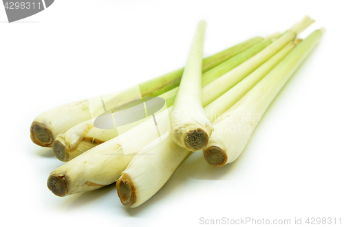 Image of Bundle of lemon grass