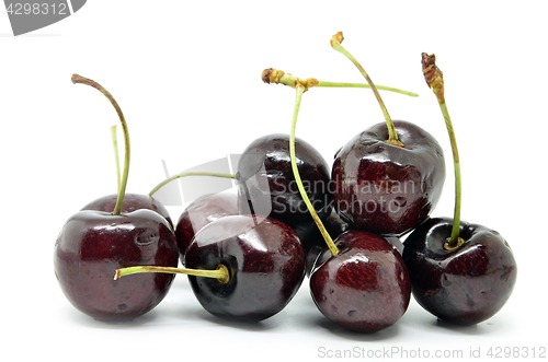 Image of Sweet cherry isolated on white