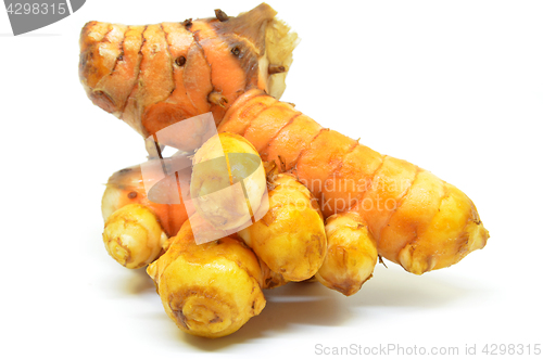 Image of Turmeric rhizome on white background