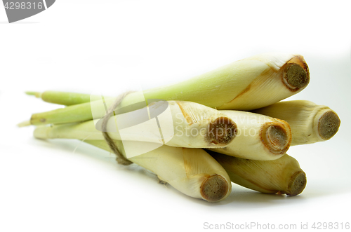 Image of Bundle of lemon grass