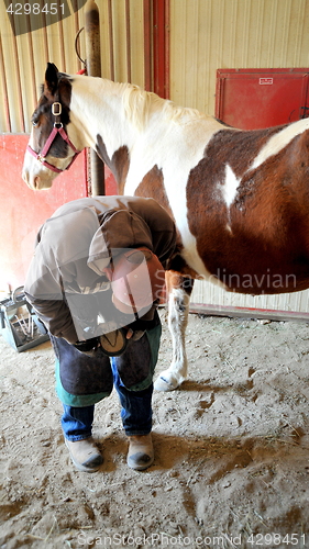 Image of Male farrier.