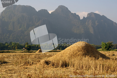 Image of Stacks