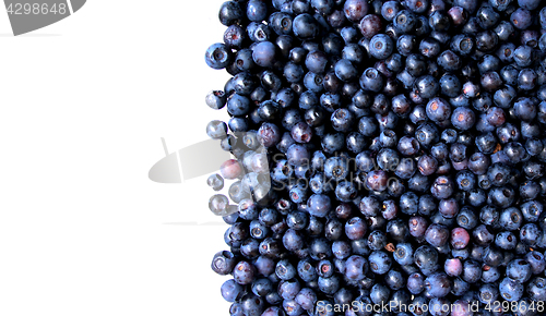 Image of blueberries as nice background