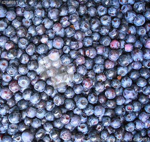 Image of blueberries as nice background