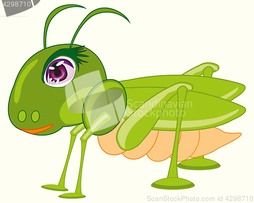 Image of Insect green grasshopper