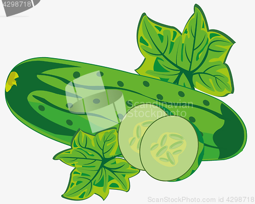 Image of Vegetable ripe cucumber