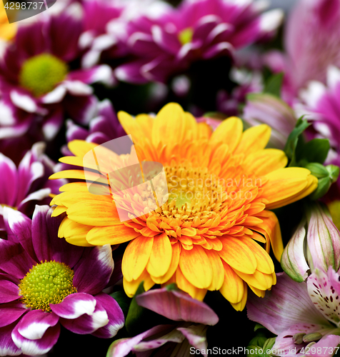 Image of Colorful Summer Bouquet