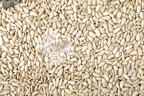 Image of Background made of sunflower seeds