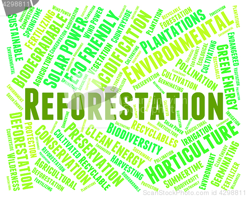 Image of Reforestation Word Means Reforesting Forests And Woodland