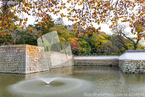 Image of Autumn Marugame Castle