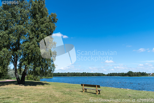 Image of Wooden bench by seaside